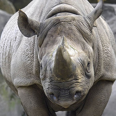 The Two Faces Of Facebook