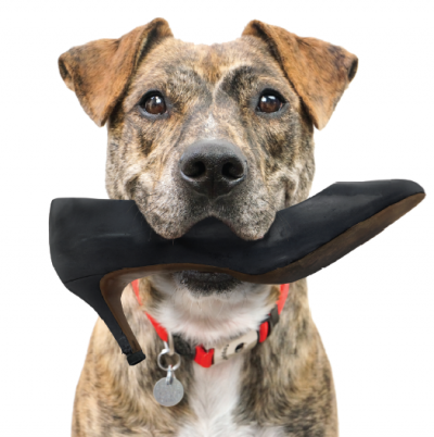 Mcacc Contract Blog Thumbnail