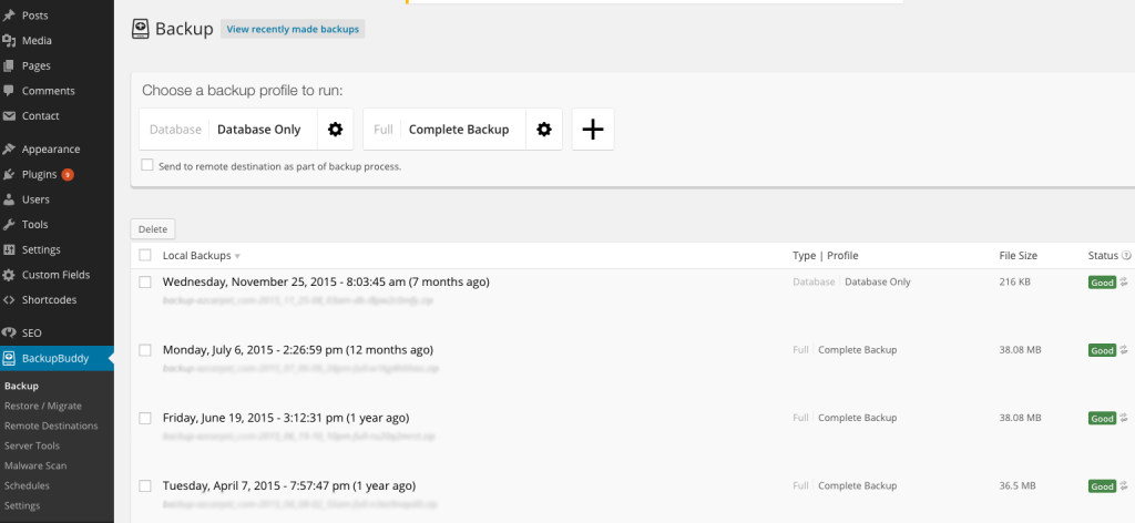 WordPress Basic Training for Clients Backup-Buddy-1024x472 Backup-Buddy-1024x472 WordPress Basic Training for Clients