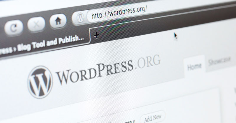 WordPress Development: The Basics wordpress-website-image wordpress-website-image WordPress Development: The Basics