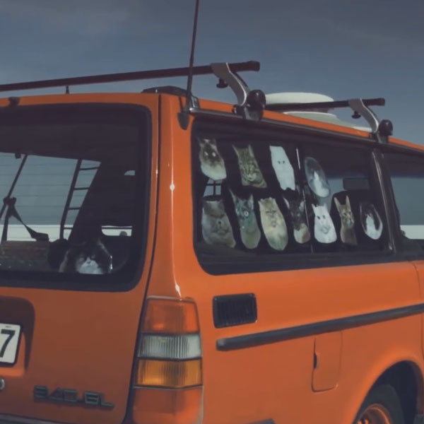 Buy This Guy’s Volvo