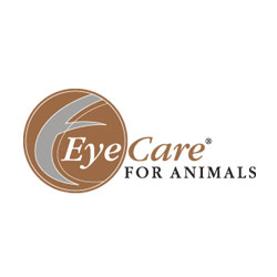 Davidson Belluso Sets Its Sights On Eye Care For Animals Website