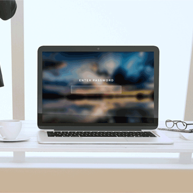 Website Security, WordPress And You