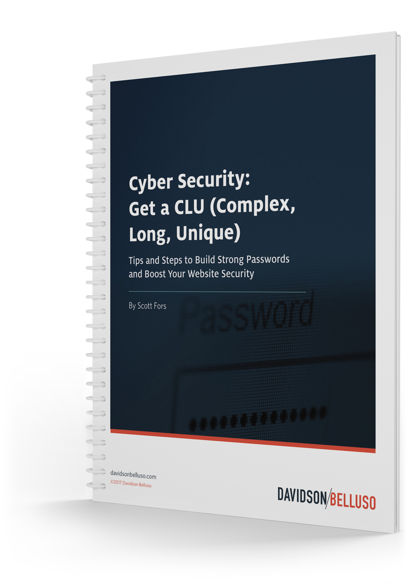 Get a CLU (Complex, Long, Unique) DAV-Whitepaper_3 DAV-Whitepaper_3 Get a CLU (Complex, Long, Unique)