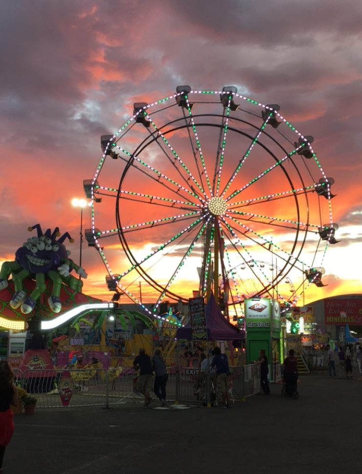 Davidson Belluso Special Event: Arizona State Fair 2017 IMG_9239-e1508435757323 IMG_9239-e1508435757323 Davidson Belluso Special Event: Arizona State Fair 2017