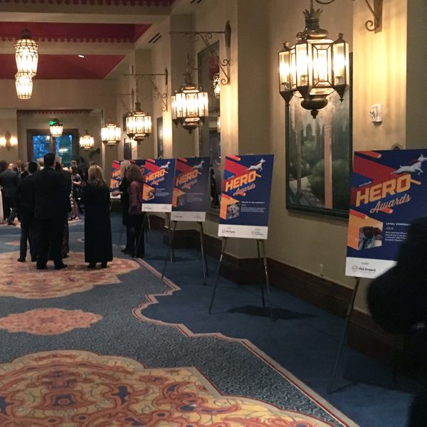 The Arizona Pet Project: 2017 HERO Awards Event Posters-600x600 Posters-600x600 The Arizona Pet Project: 2017 HERO Awards Event