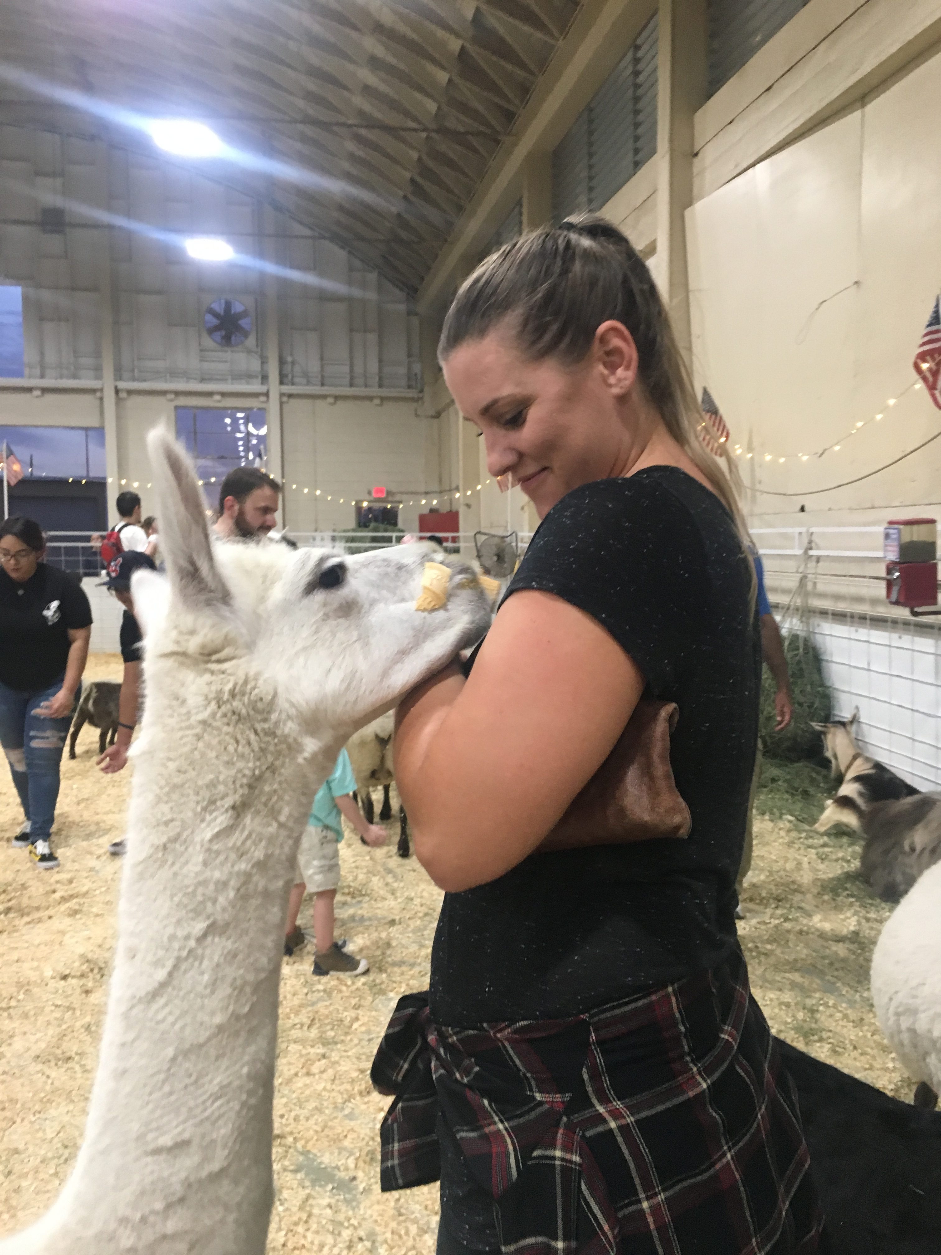 Davidson Belluso Special Event: Arizona State Fair 2017 Unknown-2-e1508435448820 Unknown-2-e1508435448820 Davidson Belluso Special Event: Arizona State Fair 2017