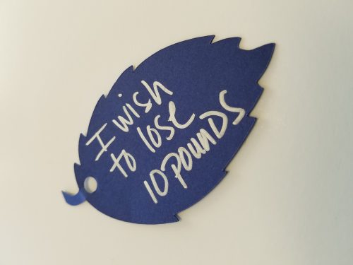 Wishing Tree to Make Wishes Come True 20171215_151606-e1513629480116 20171215_151606-e1513629480116 Wishing Tree to Make Wishes Come True