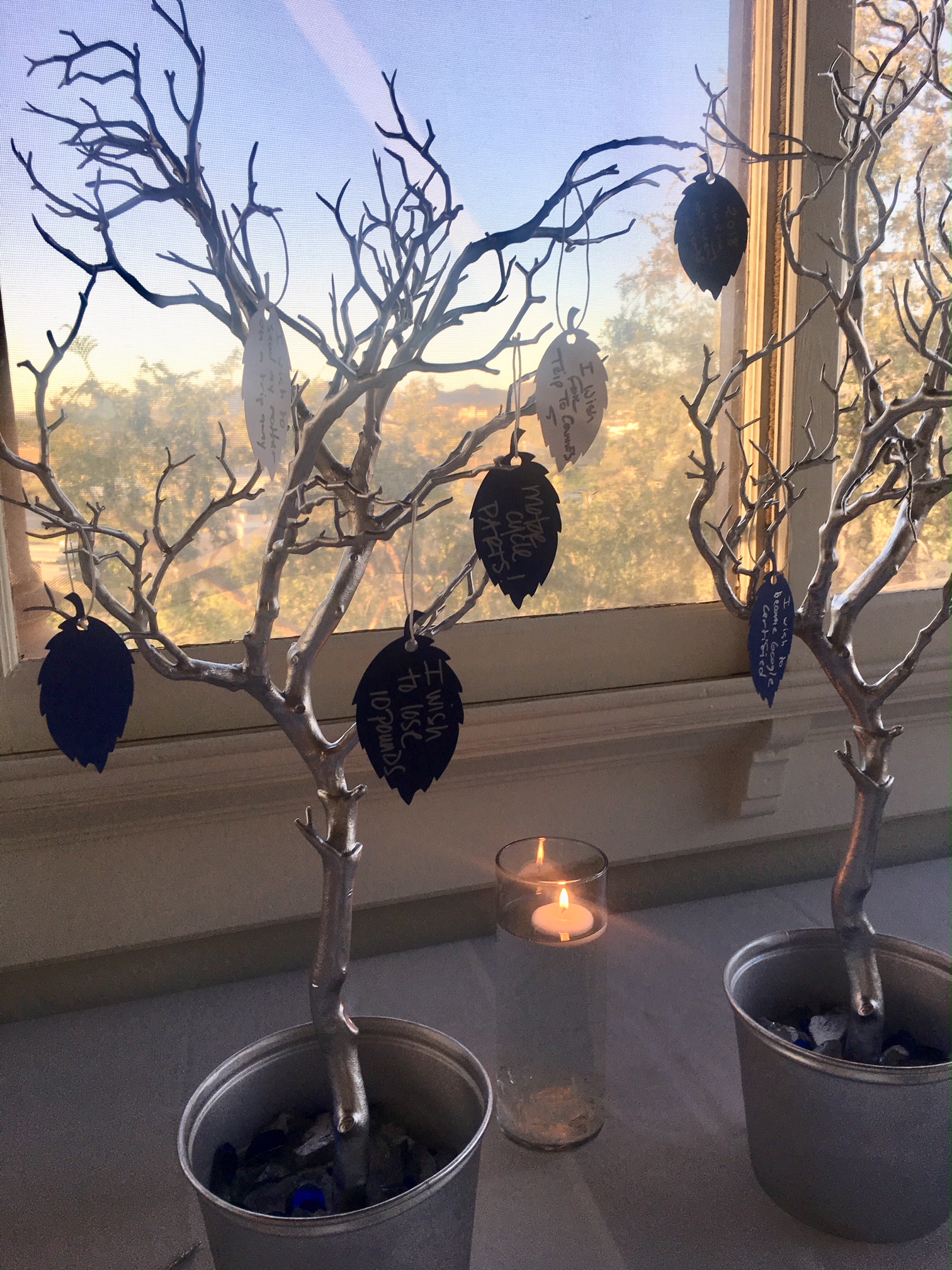 White Space Party Puts 2017 Into Focus IMG_1241 IMG_1241 White Space Party Puts 2017 Into Focus