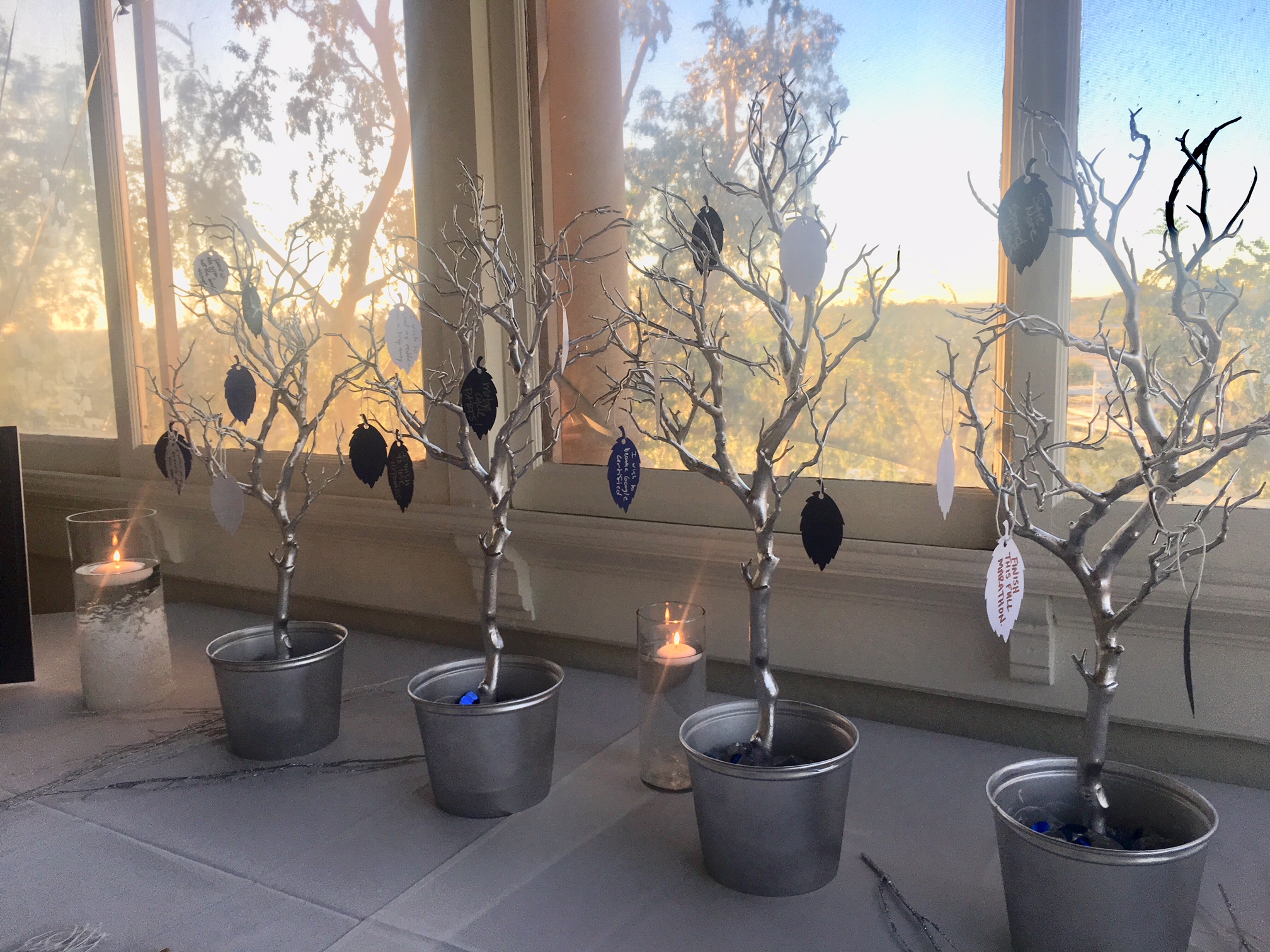 White Space Party Puts 2017 Into Focus IMG_1242 IMG_1242 White Space Party Puts 2017 Into Focus