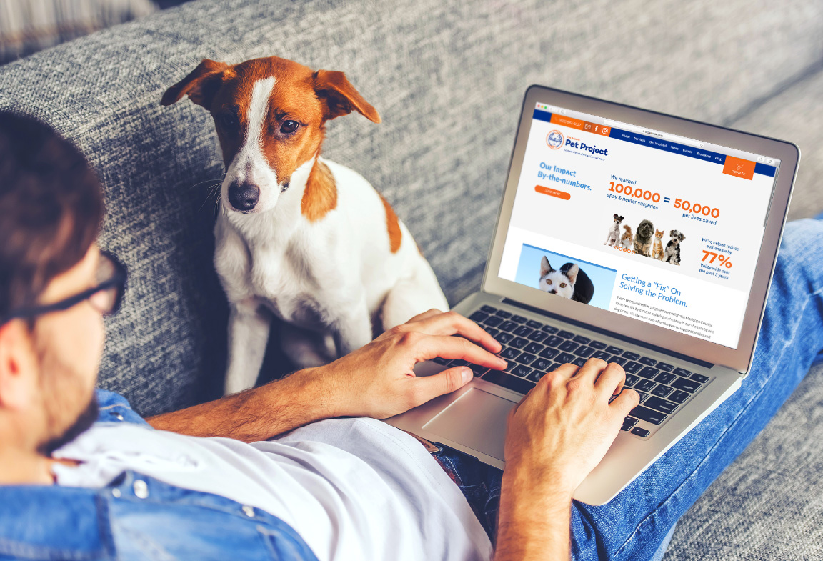 The Arizona Pet Project dog-computer dog-computer The Arizona Pet Project