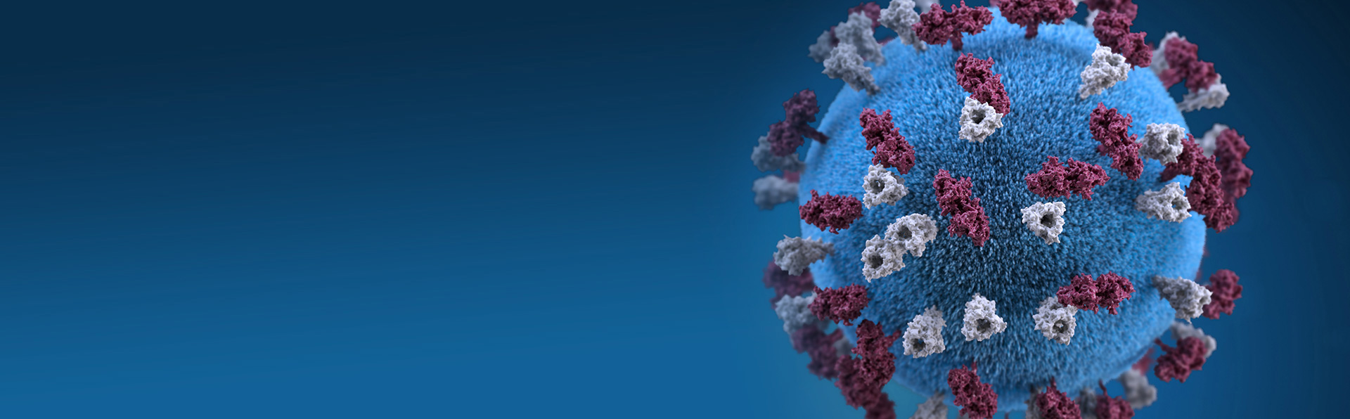 Homepage Covid-Header Covid-Header Homepage