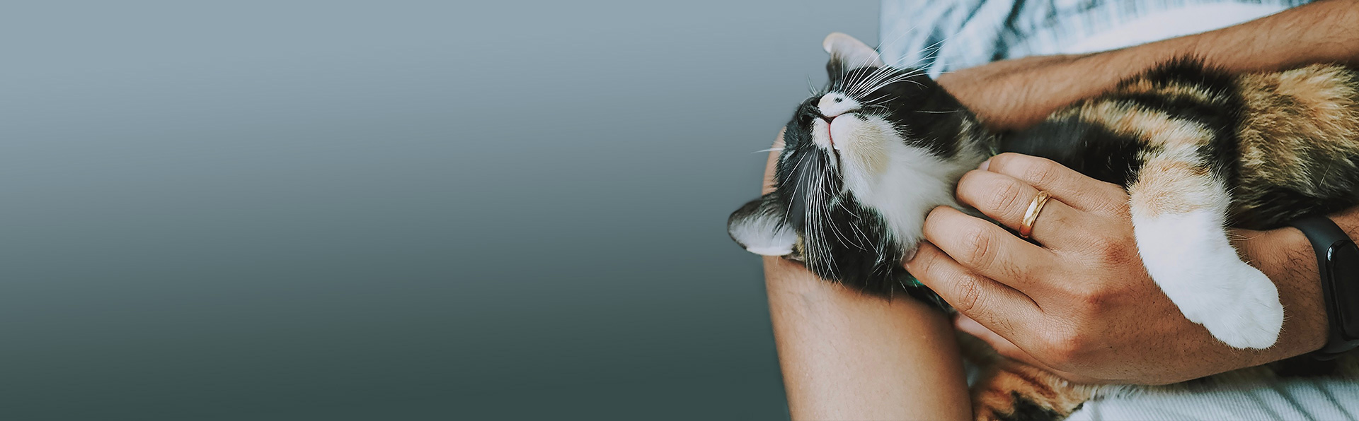 Homepage Heidis-Village Heidis-Village Homepage