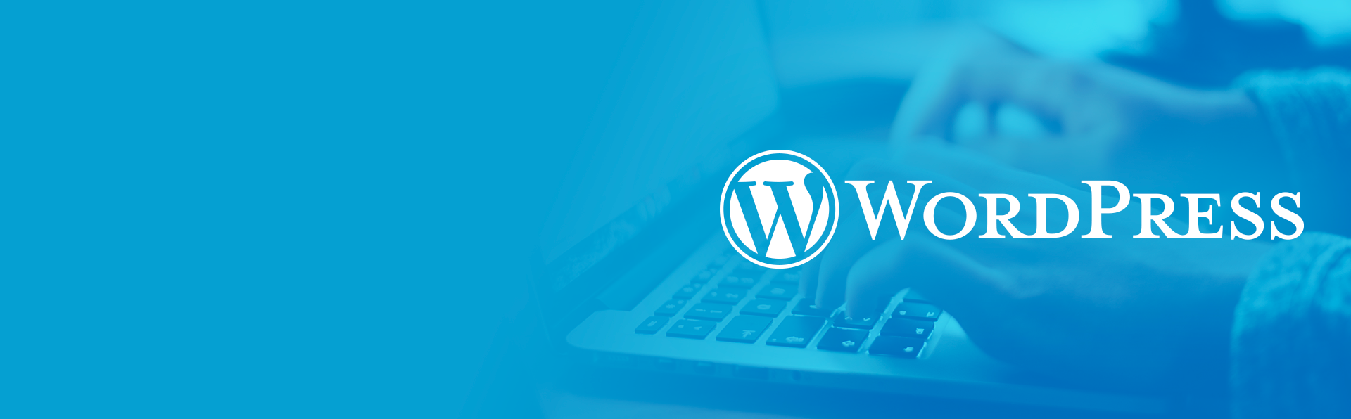 Homepage wordpress-banner wordpress-banner Homepage